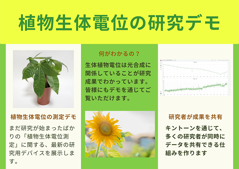 ここに商品
