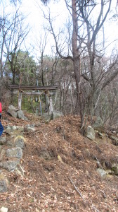 山城の険しき隘路若葉避けゆく