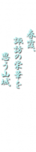 春霞、諏訪の栄華を思う山城