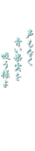 声もなく青い果実を吸う様よ