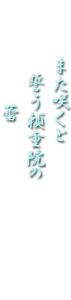 また咲くと誓う頼重院の蕾