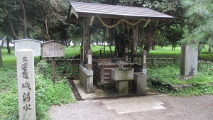 夏雨に味のより澄む磯清水