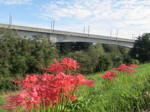 東北新幹線の阿武隈川橋梁