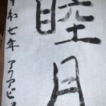 2025年1月のまとめ(法人)